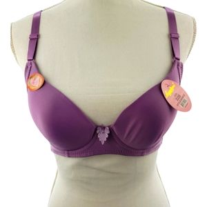 Angelina Bra NWT Size 32B Full Coverage Convertible Straps in Purple
